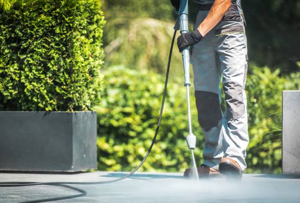 Best Rust Removal  in Maquoketa, IA